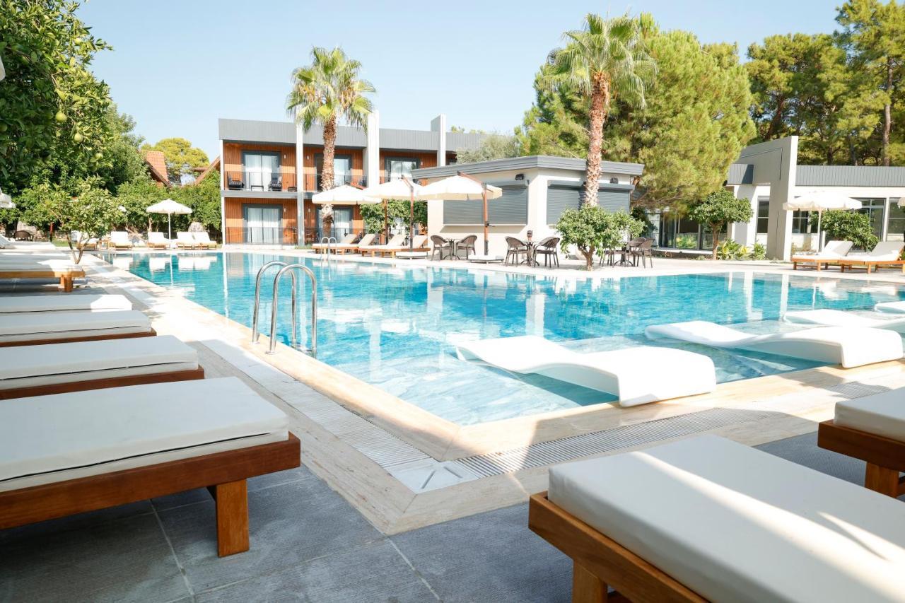 Forest In Hotel Kemer Buitenkant foto